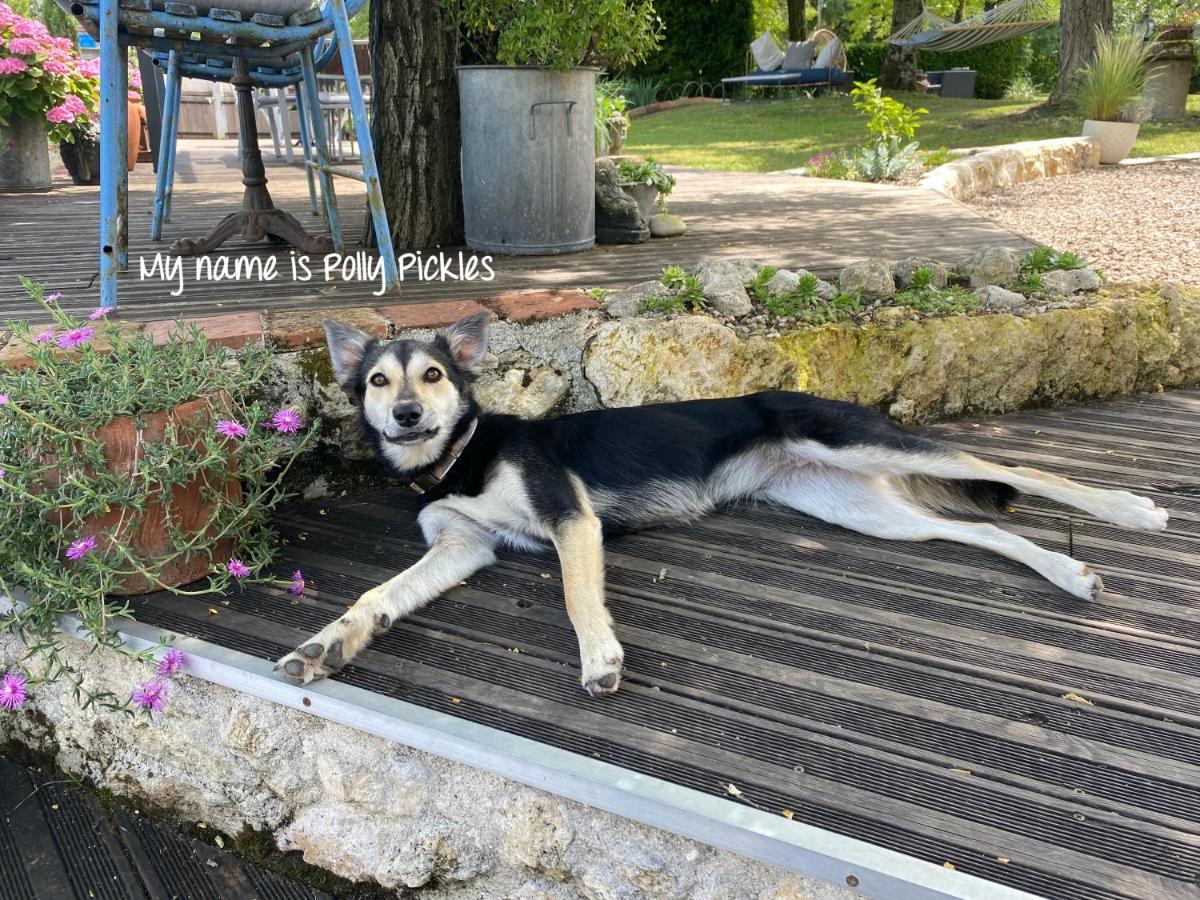 Maison Murier Hotel Fayssac ภายนอก รูปภาพ