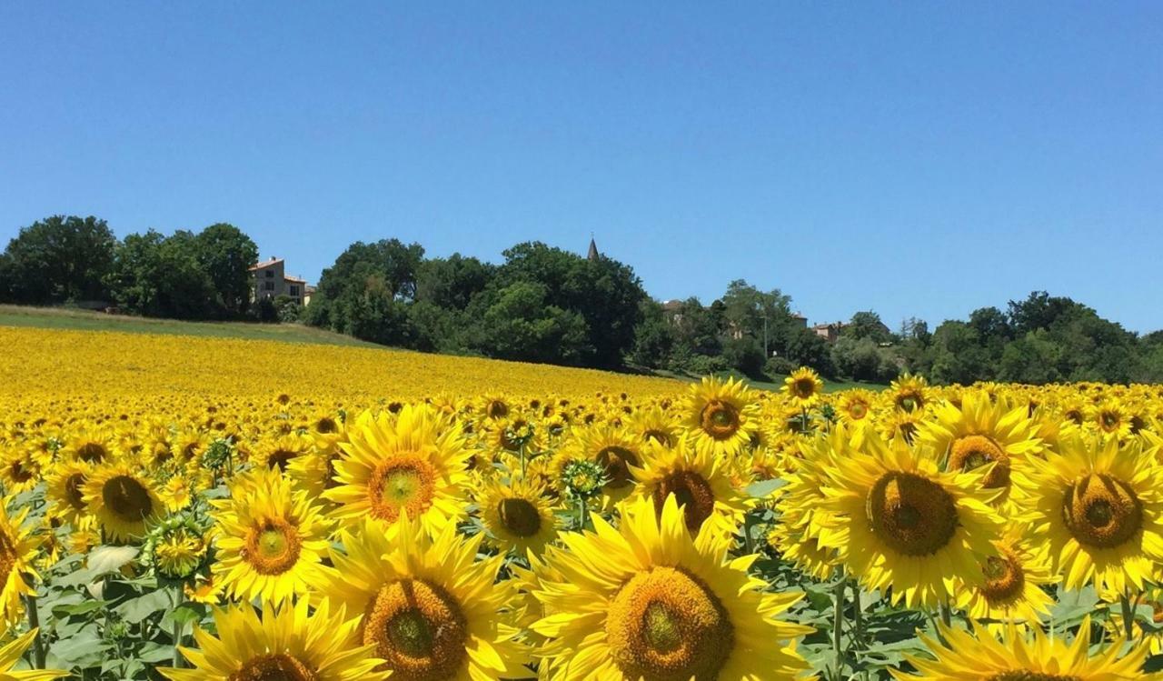 Maison Murier Hotel Fayssac ภายนอก รูปภาพ